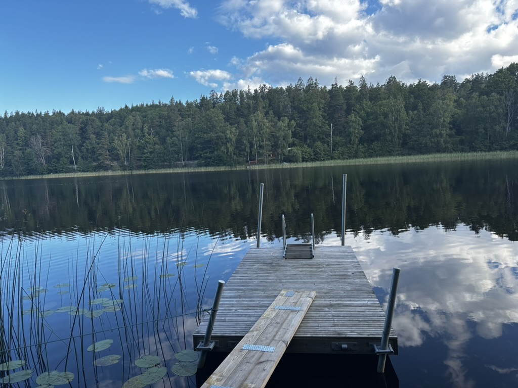 Vildsvinsstigen 4 – bild 68
