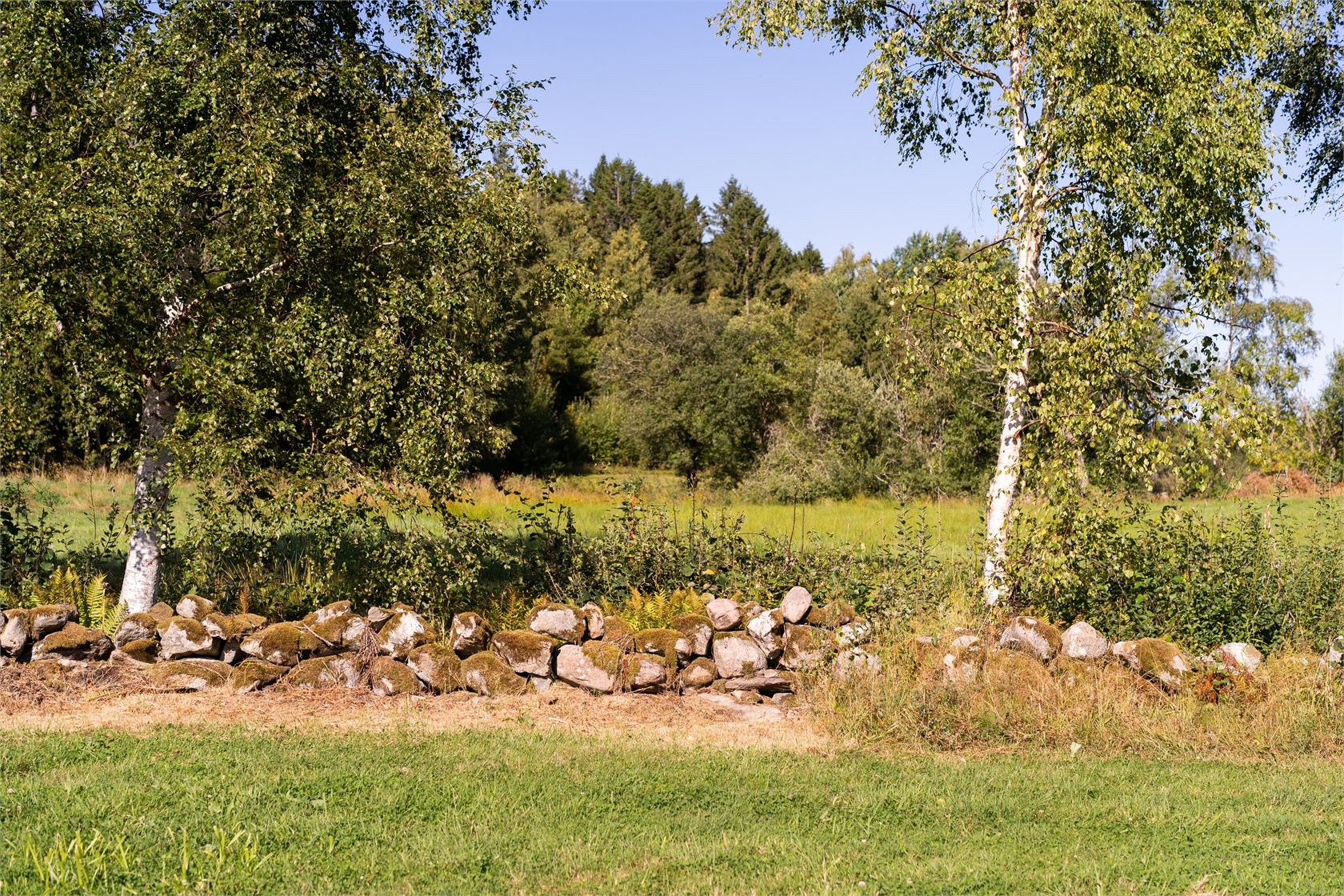 Törreby 230 – bild 29