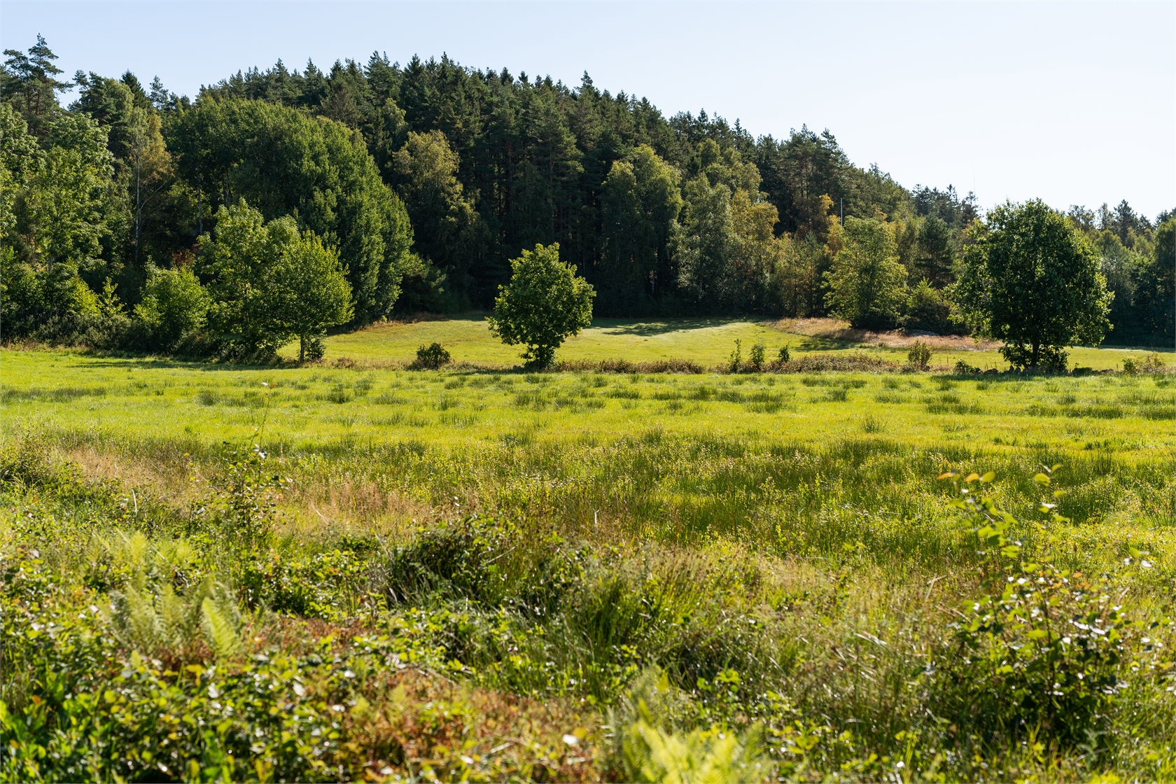 Törreby 230 – bild 30