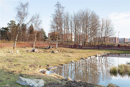 Kotkagatan 21