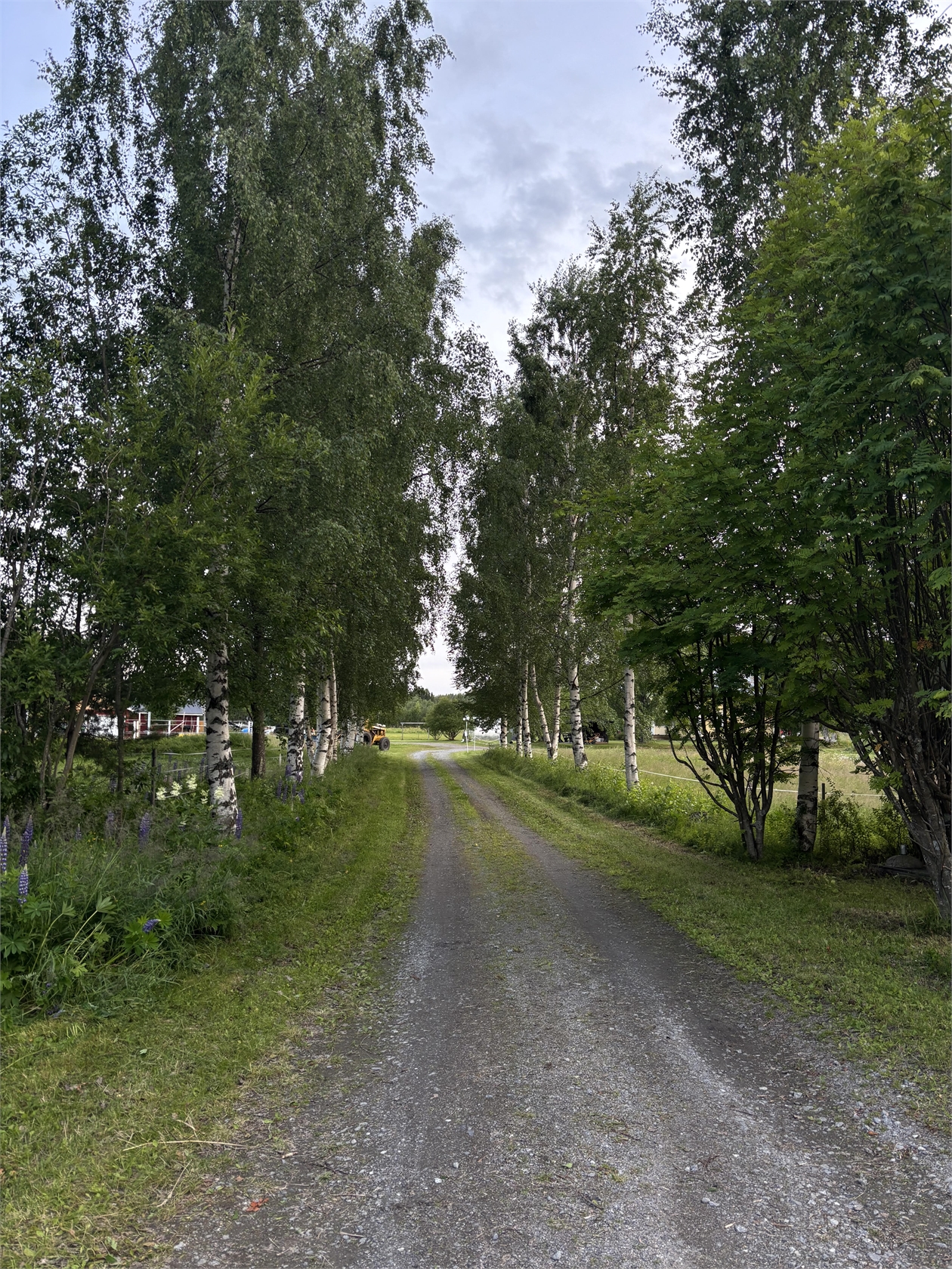 Högheden 107 – bild 51
