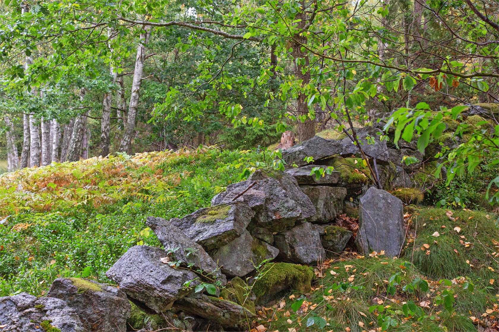 Brattebräcka 315 – bild 30