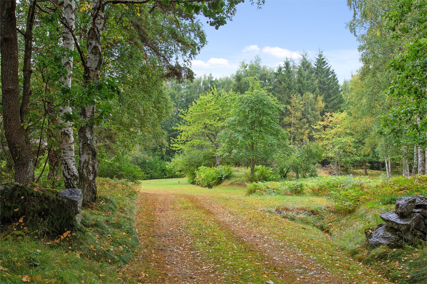 Brattebräcka 315 – bild 31