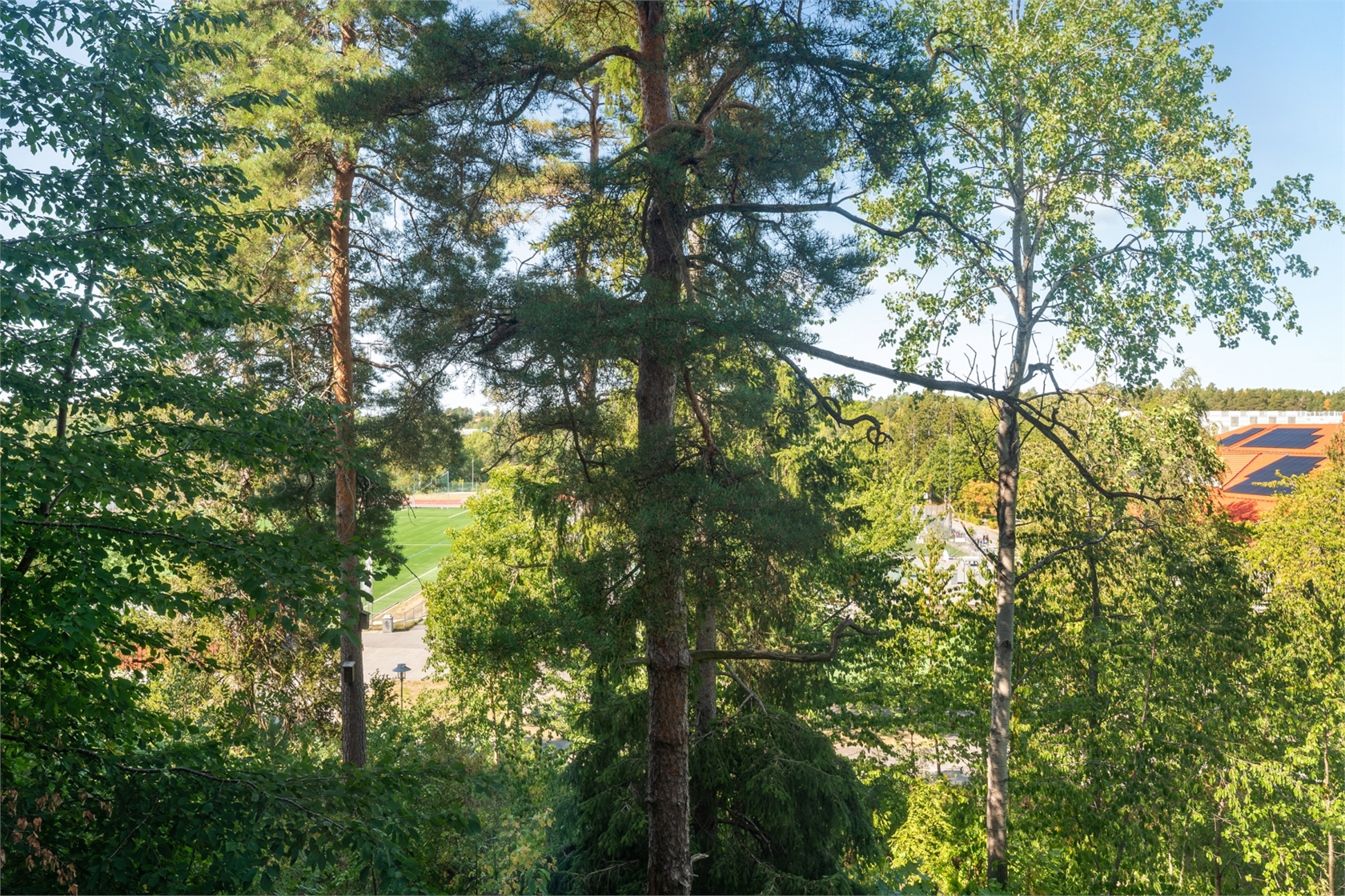 Lavettvägen 41 – bild 9