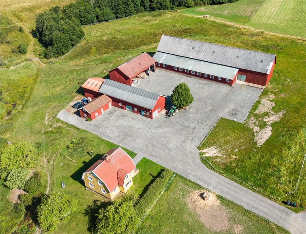 Verle 530