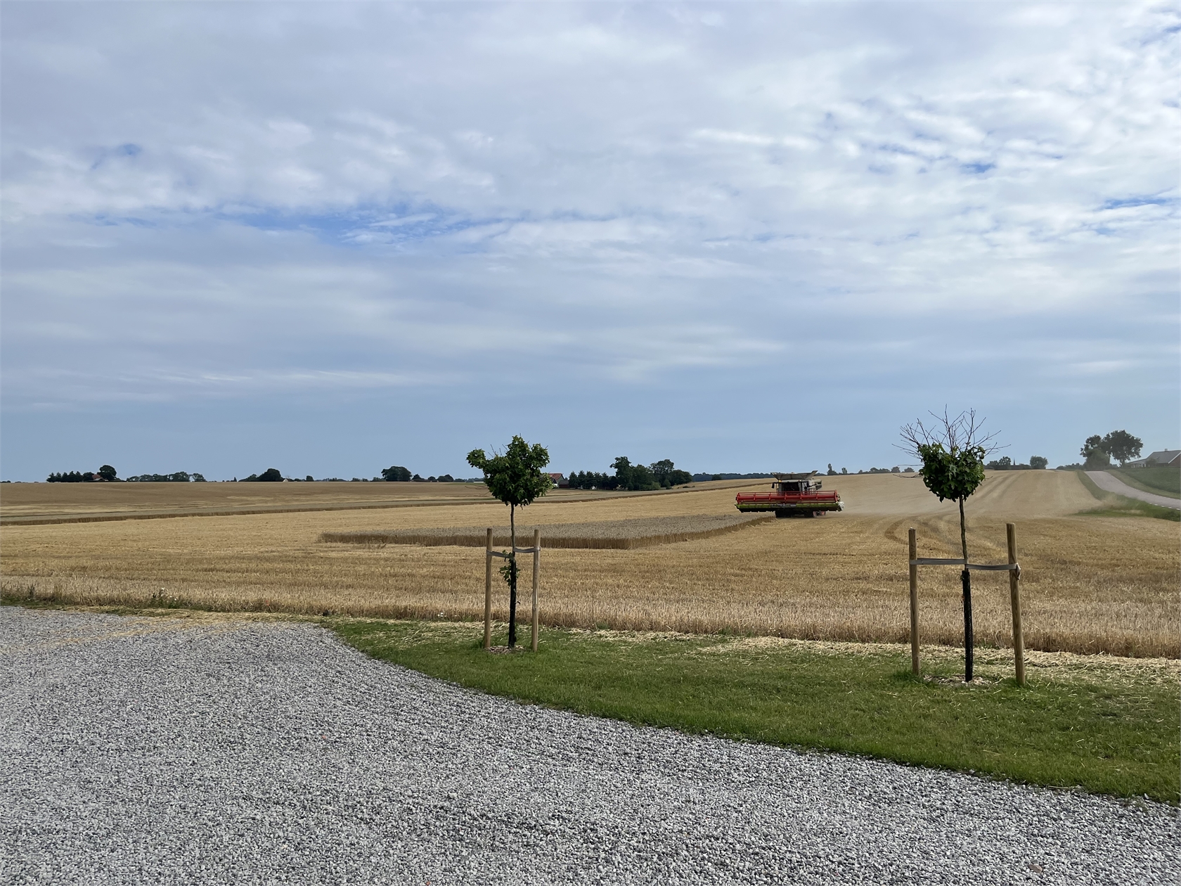 Lindby 324 – bild 3