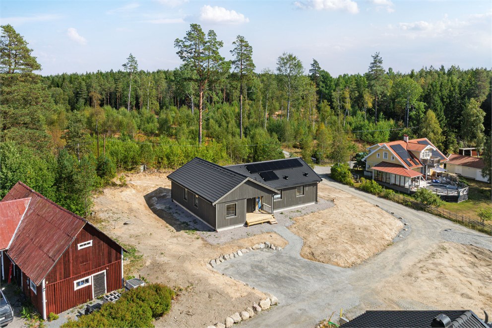 Alsike Johannesberg 30