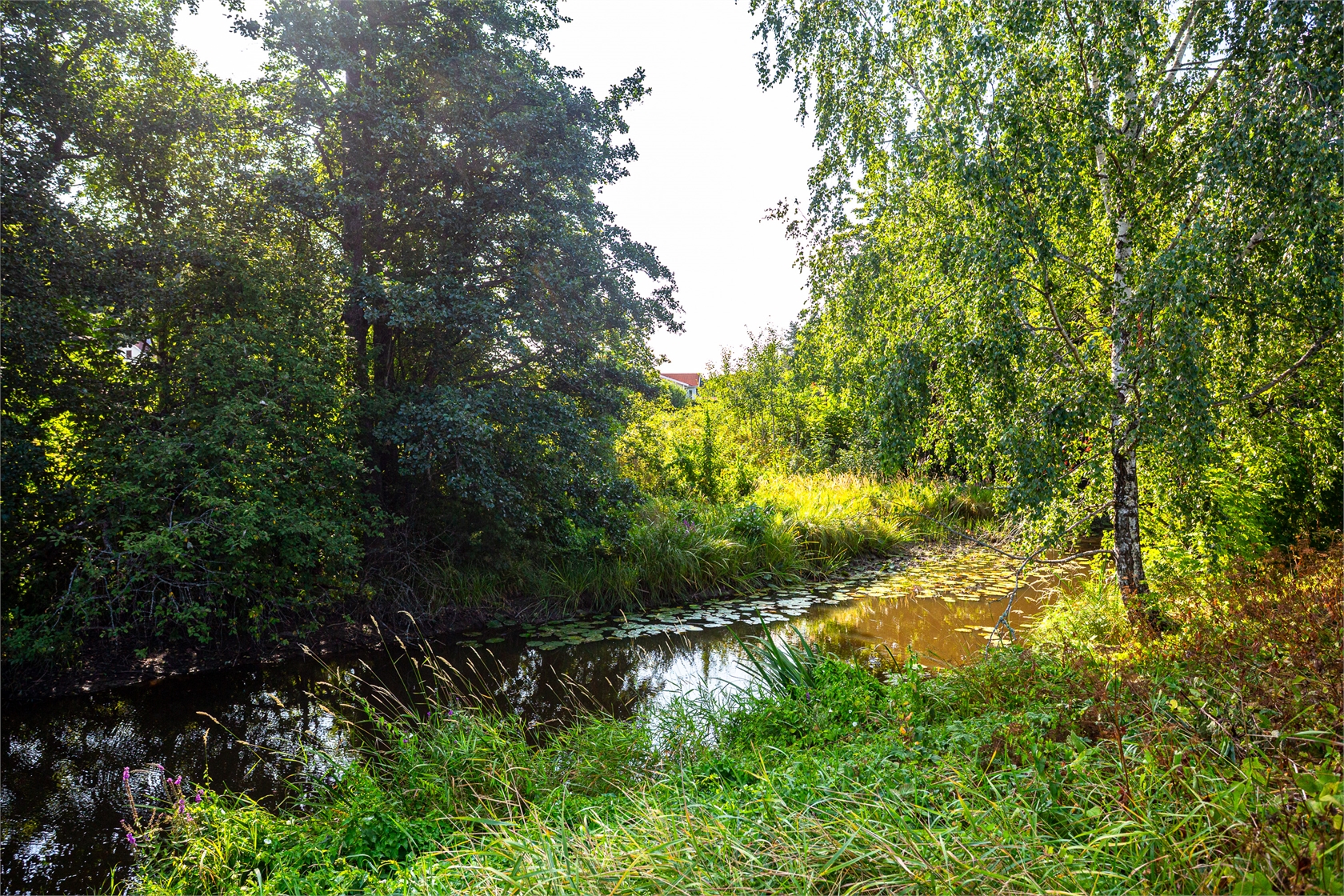 Ågatan 46 – bild 30