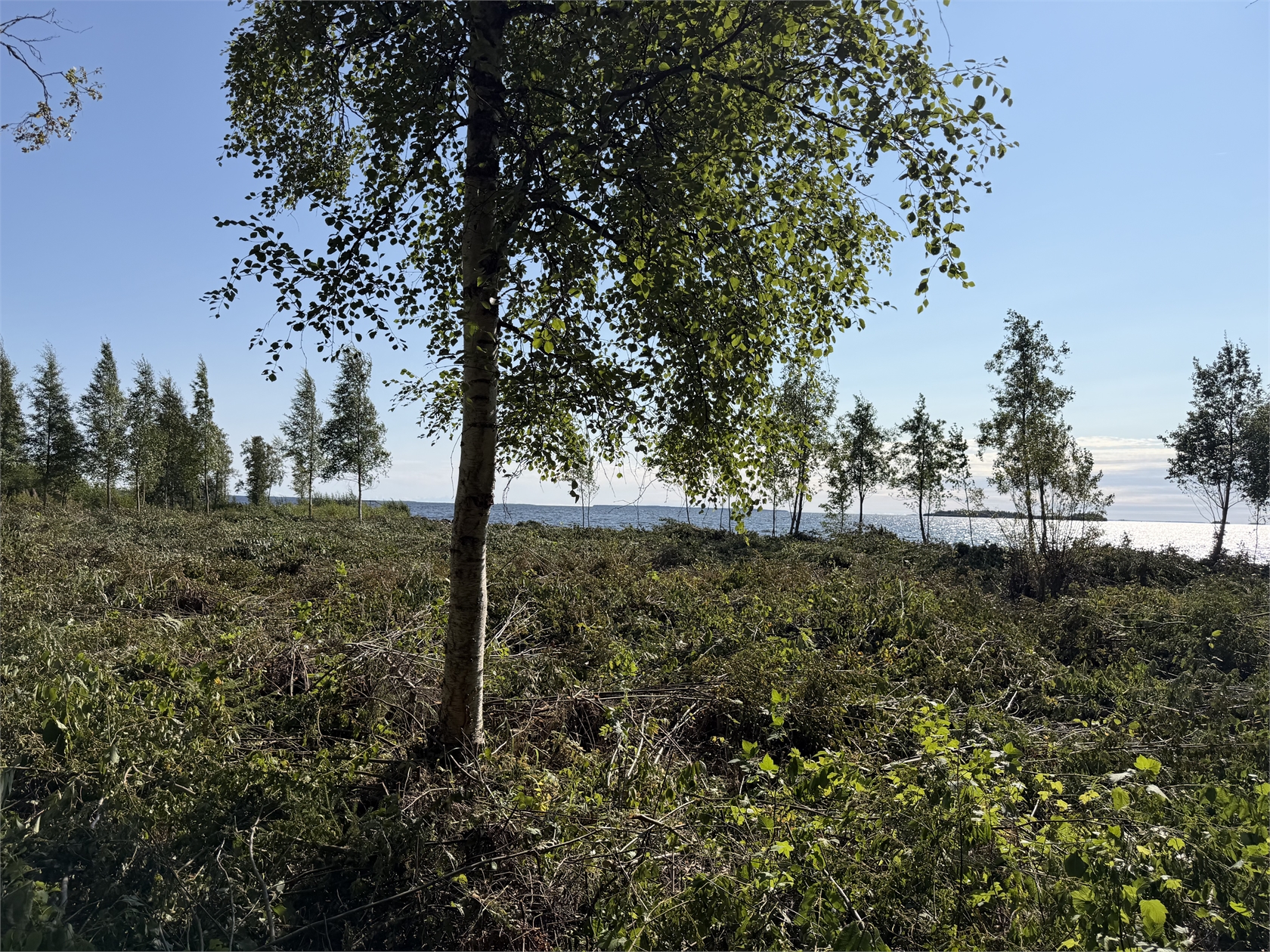 Salmis Konjusvägen 86 – bild 11