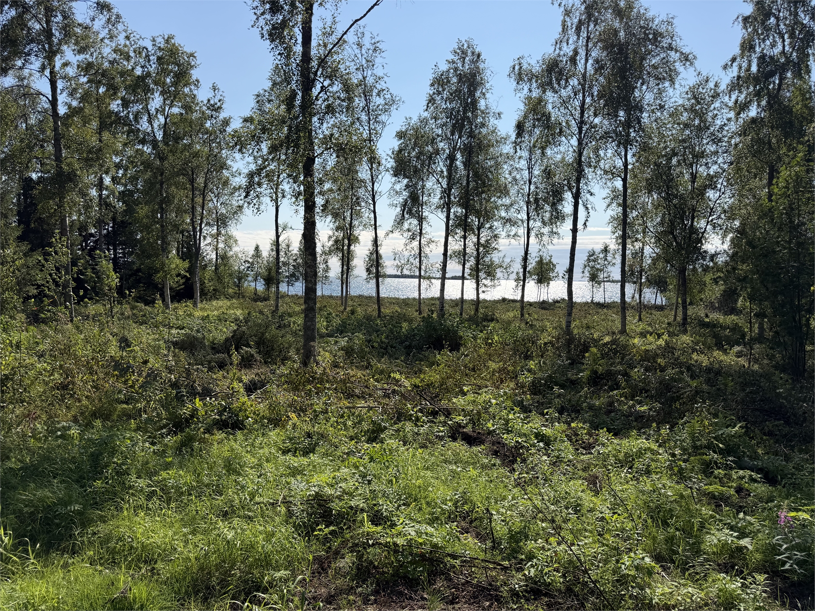 Salmis Konjusvägen 86 – bild 9
