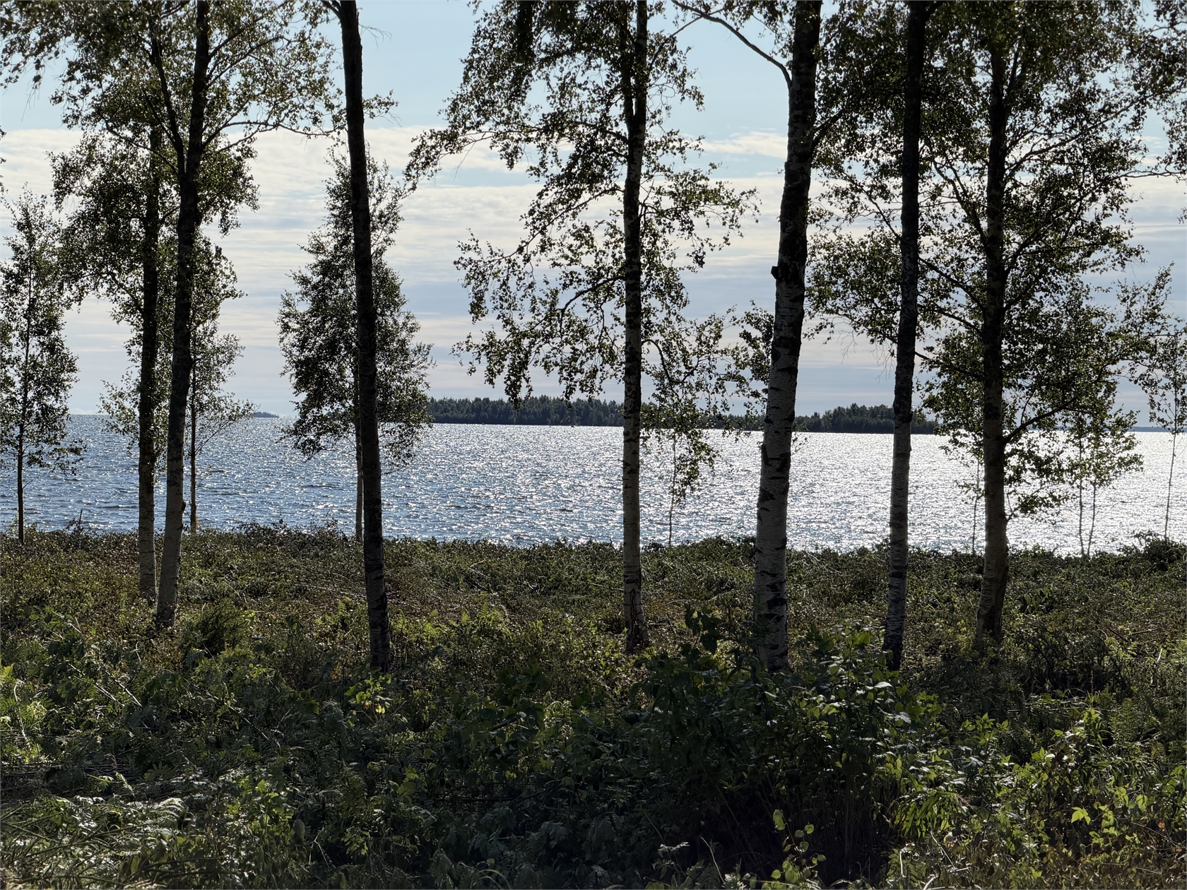 Salmis Konjusvägen 86 – bild 12