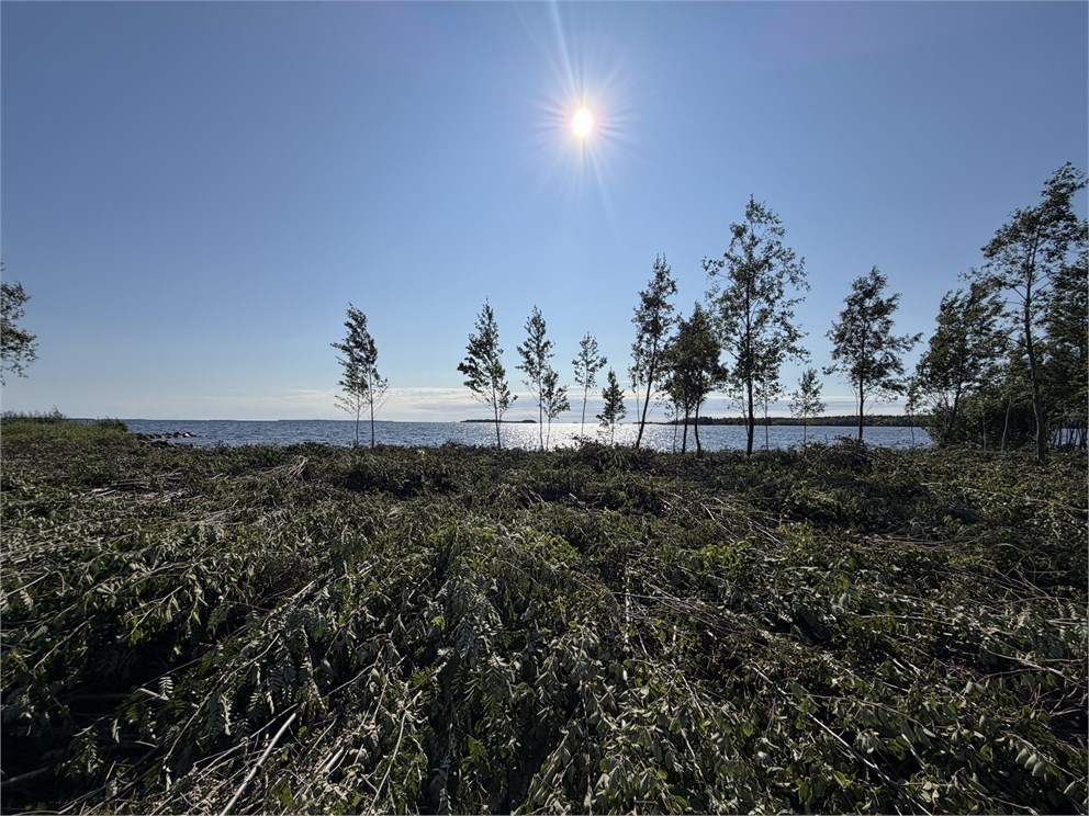 Salmis Konjusvägen 86