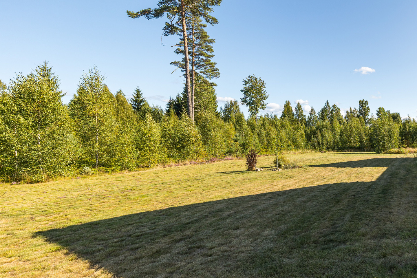 Kylvanäs Skogstomten 1 – bild 45