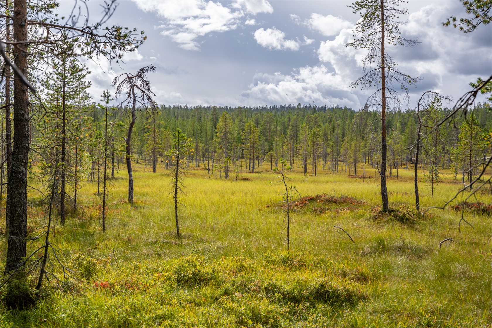 Fritidshus Vegån 1:3 – bild 9