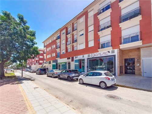 Pilar De La Horadada | Torrevieja