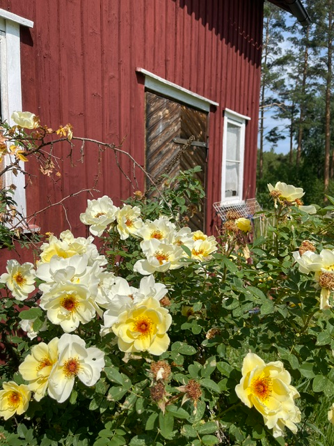 Prästhög Västtomta 1 – bild 55