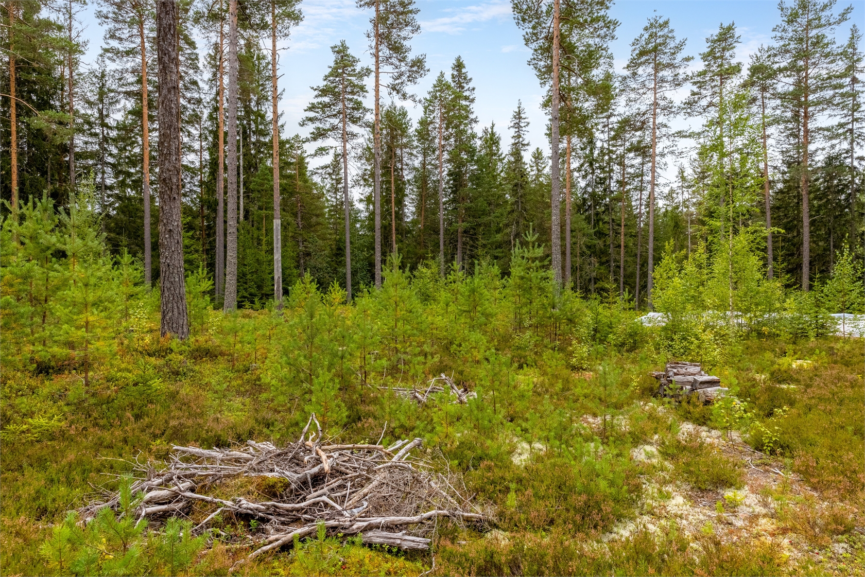 Tomt i Läde – bild 2