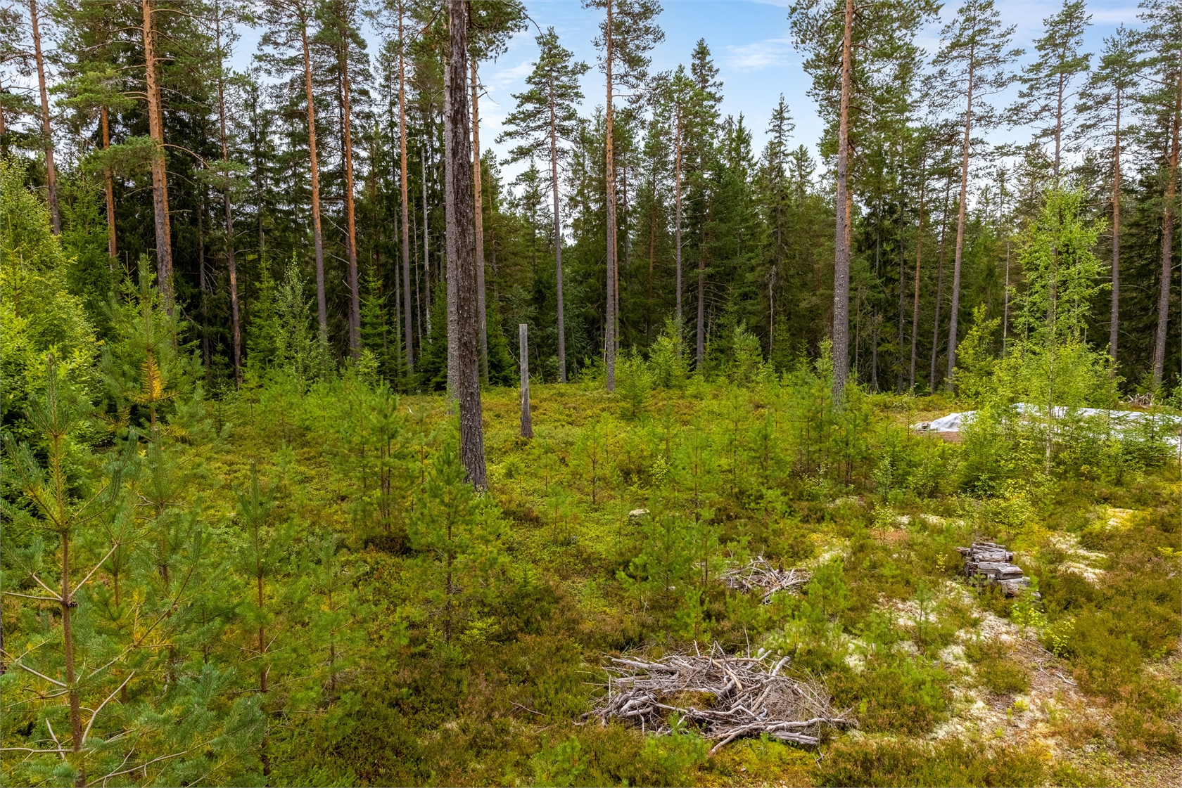 Tomt i Läde – bild 6