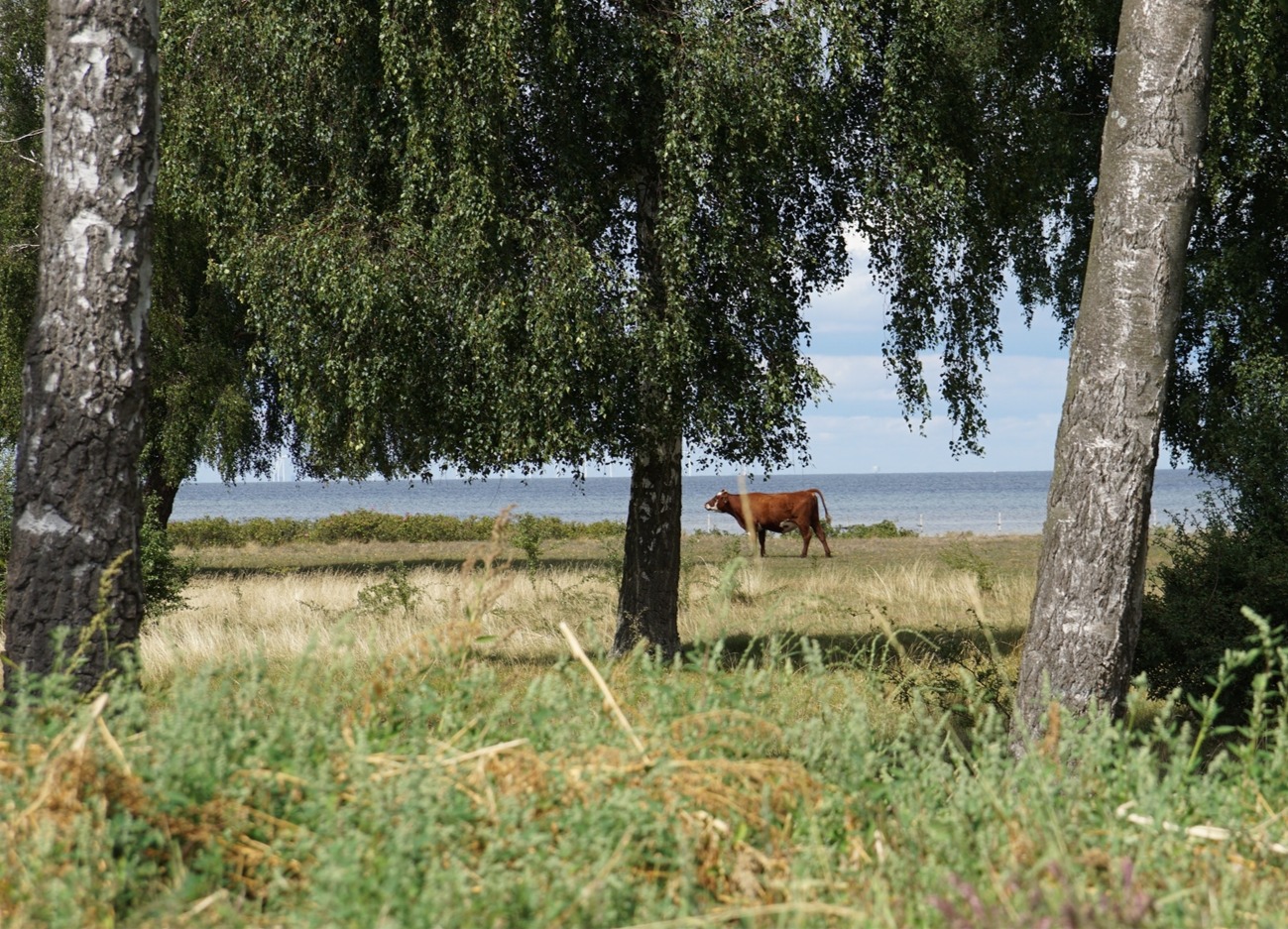 Lönnkrogsvägen 9A – bild 6