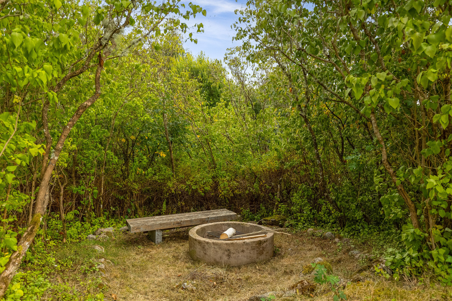 Skrinningarud 3 – bild 5