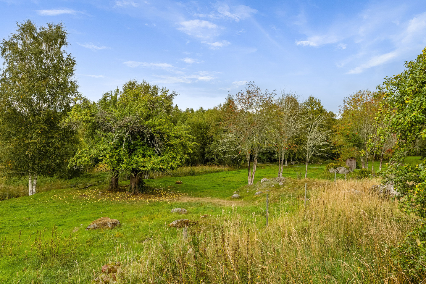 Skrinningarud 3 – bild 8