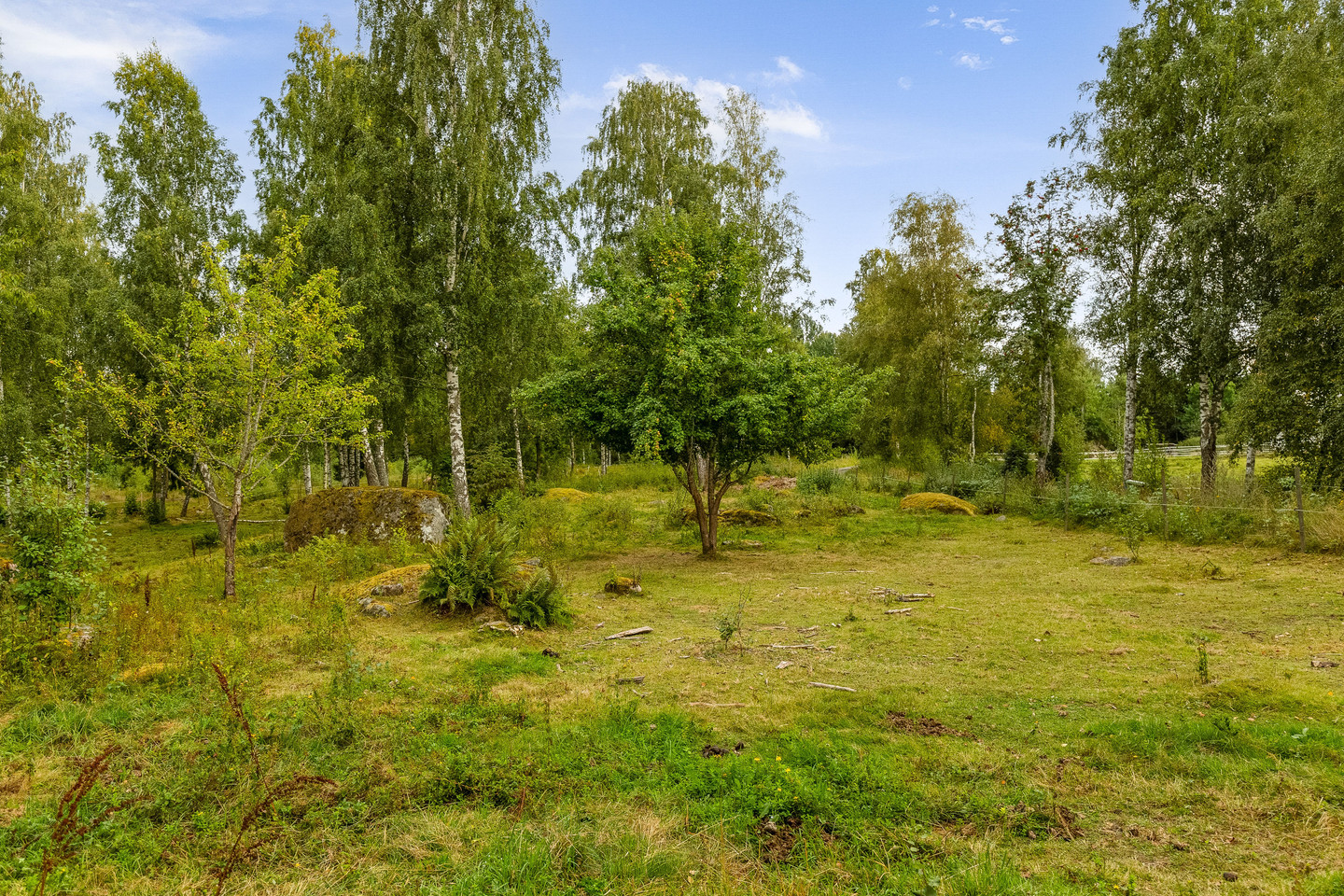 Skrinningarud 3 – bild 15