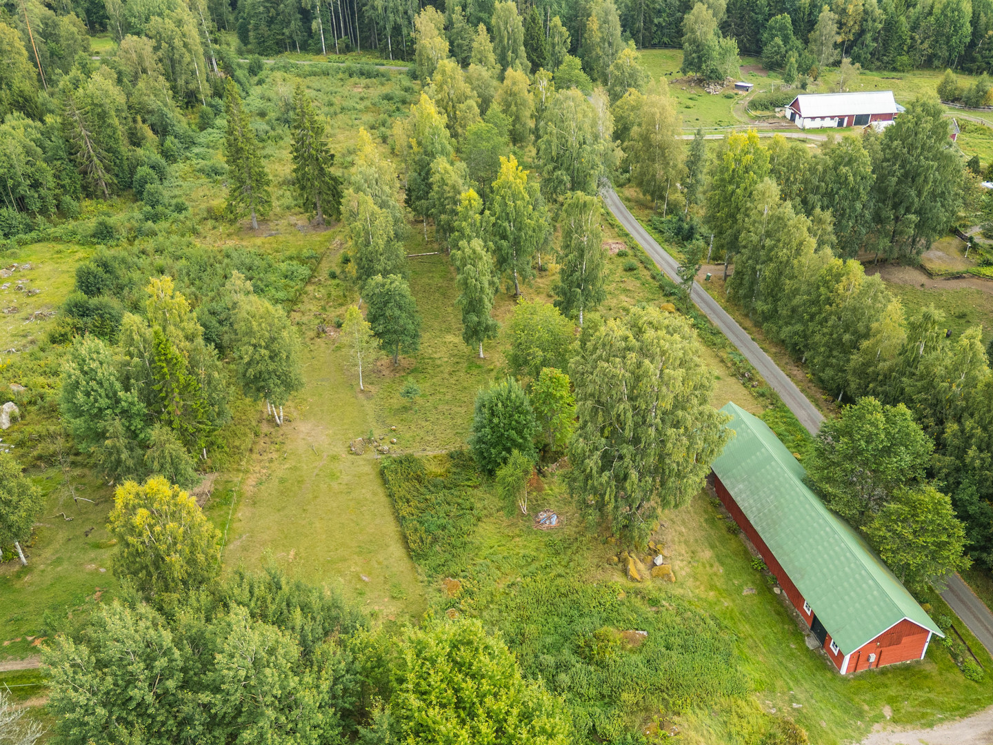 Skrinningarud 3 – bild 61