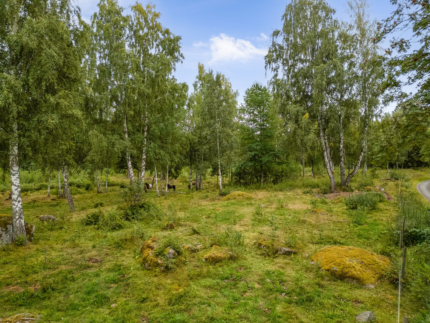 Skrinningarud 3 – bild 68