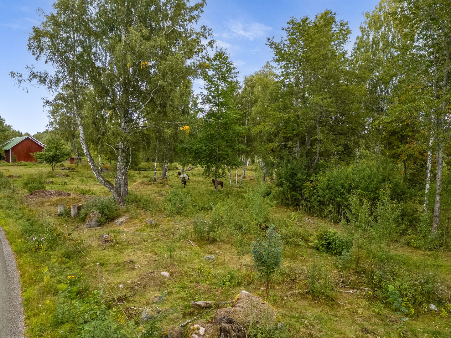 Skrinningarud 3 – bild 70