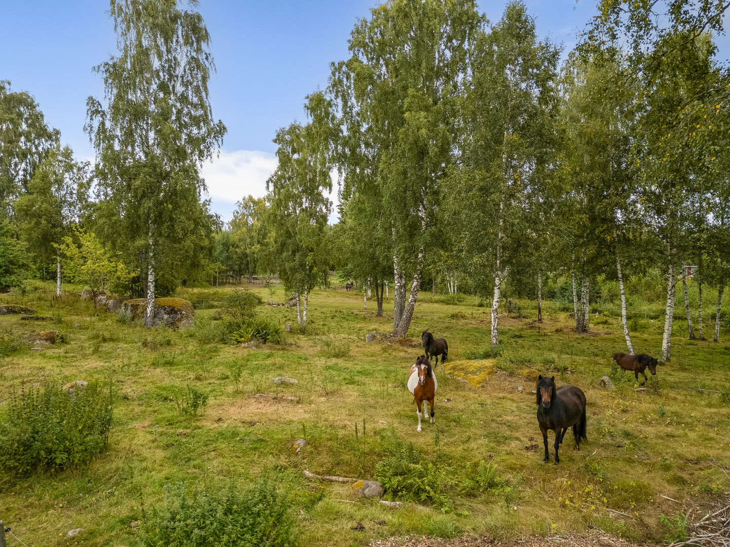 Skrinningarud 3 – bild 71