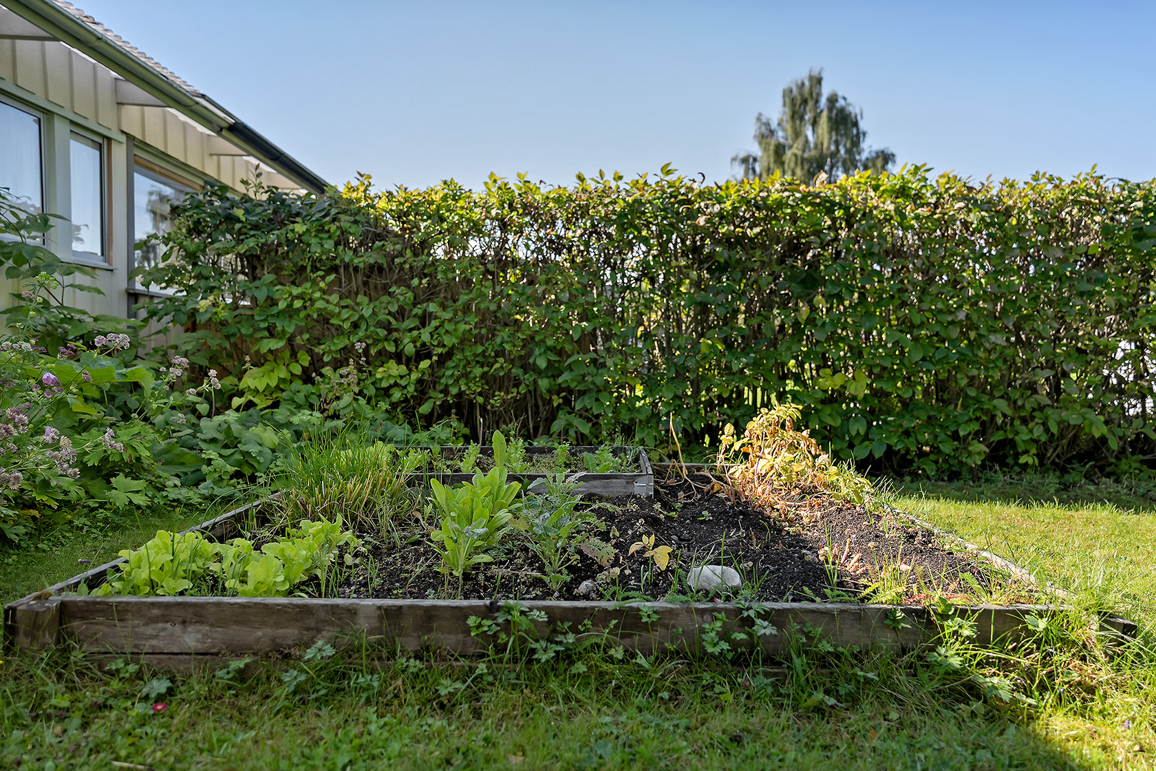 På gång – bild 7