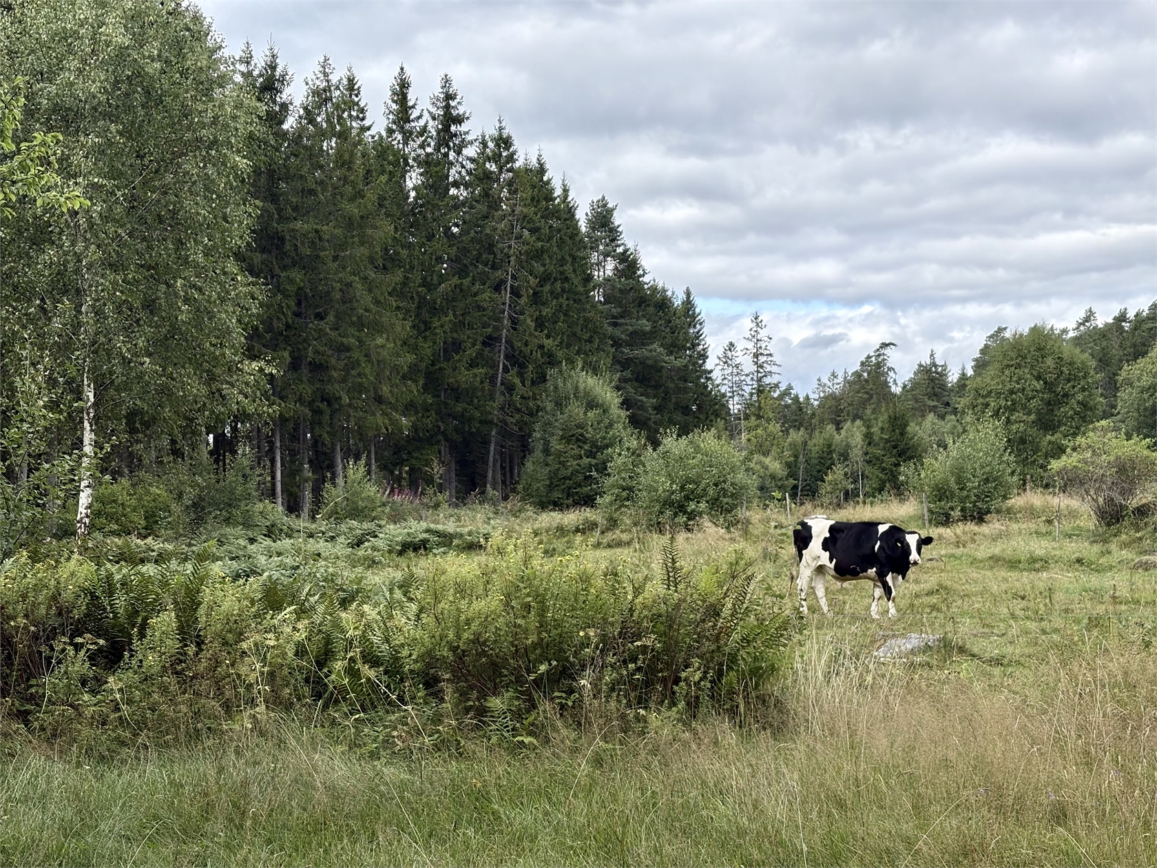 Ornunga Mellombacken 2 – bild 2