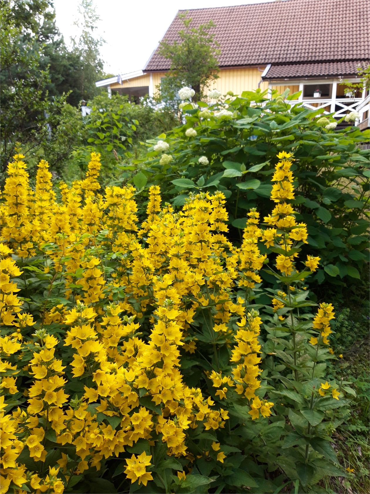 Beckhusvägen 10 – bild 27