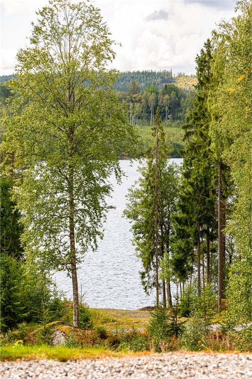 Vy från fastigheten 