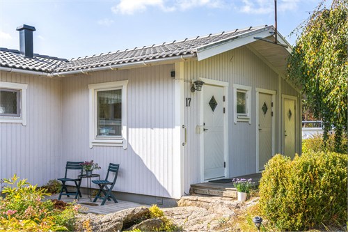 Ripstigen 17