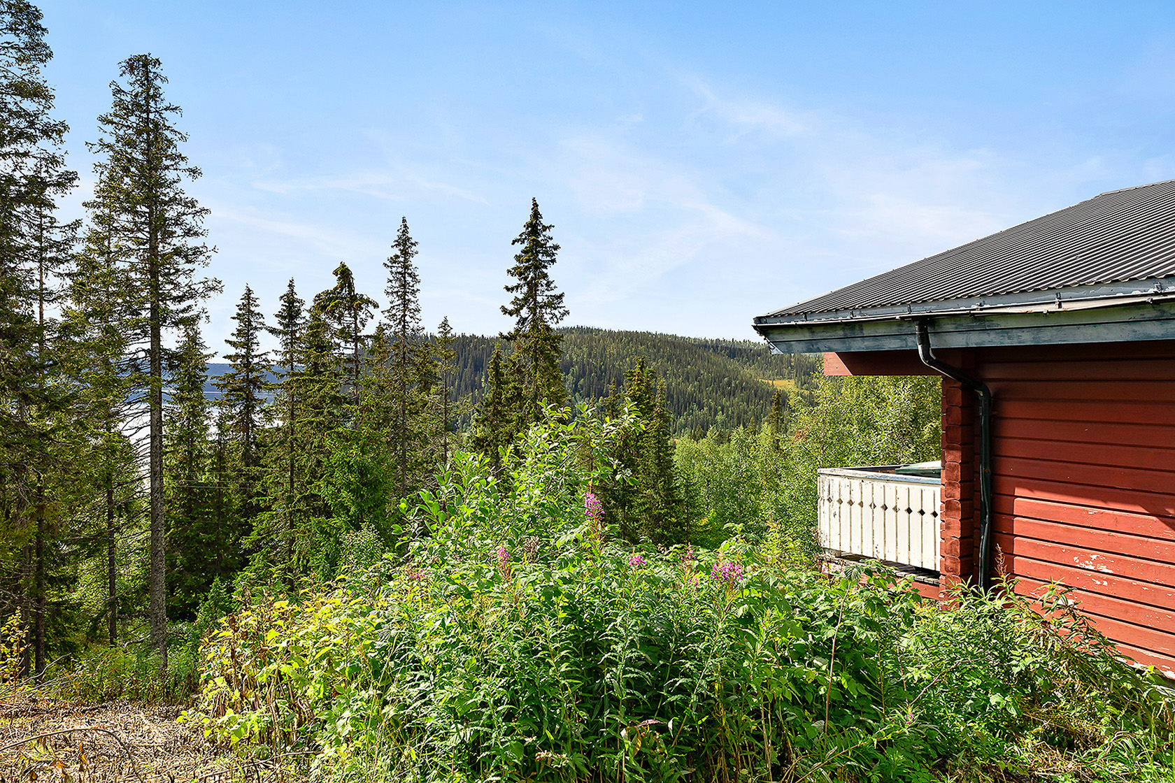 Stora Blåsjön 430 – bild 23
