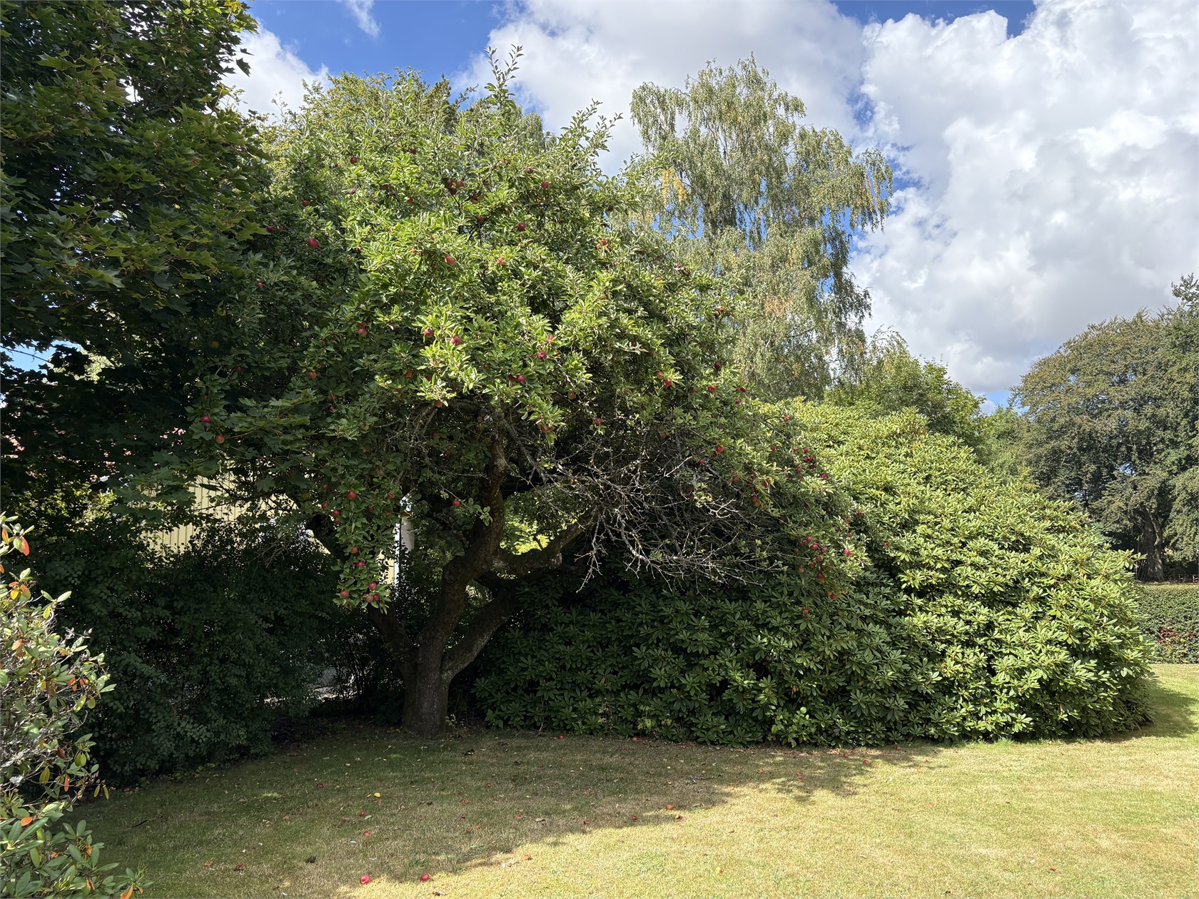 Apelgatan 4 – bild 7