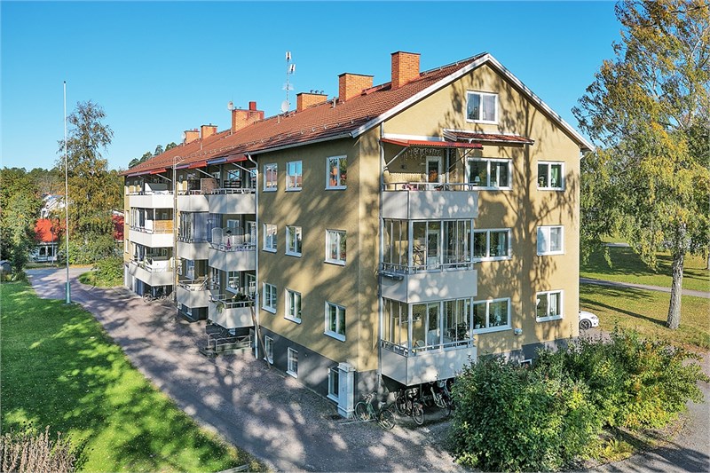 Välkomna till Skogsgatan