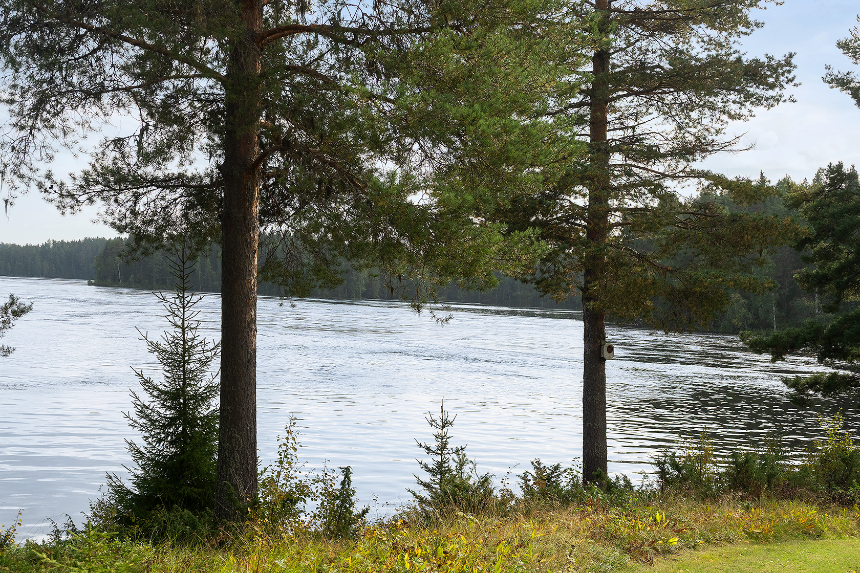 Kamlunge 562 – bild 13