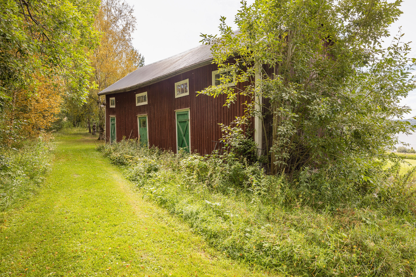 Bergom 206 – bild 6