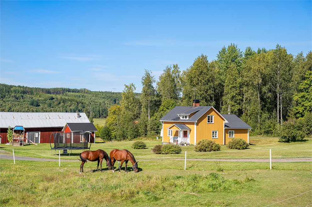 Sätter 35