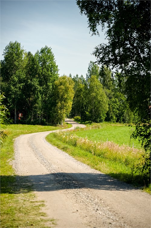 Sörviksta 230