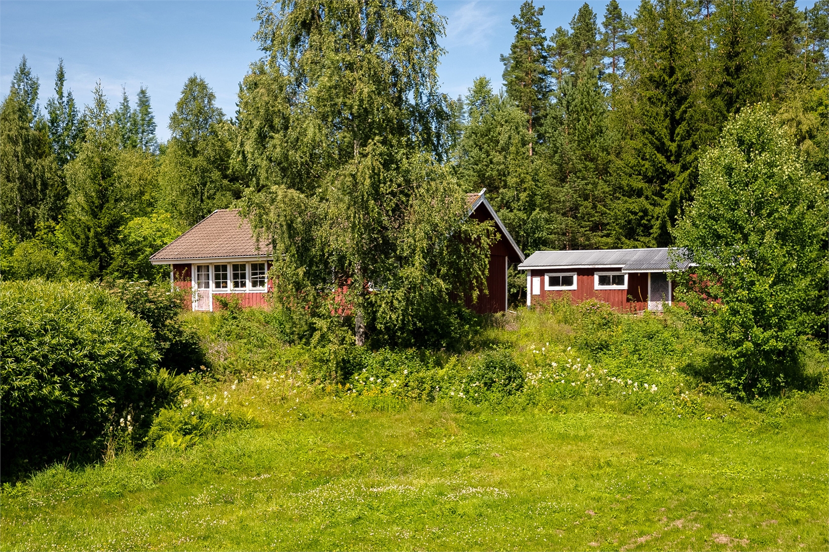 lör 7/11 – bild 5