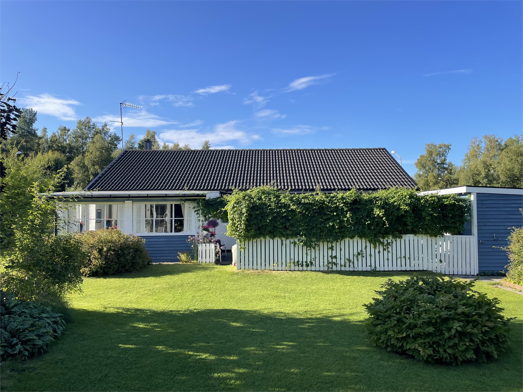Rådjursstigen 1 – bild 17