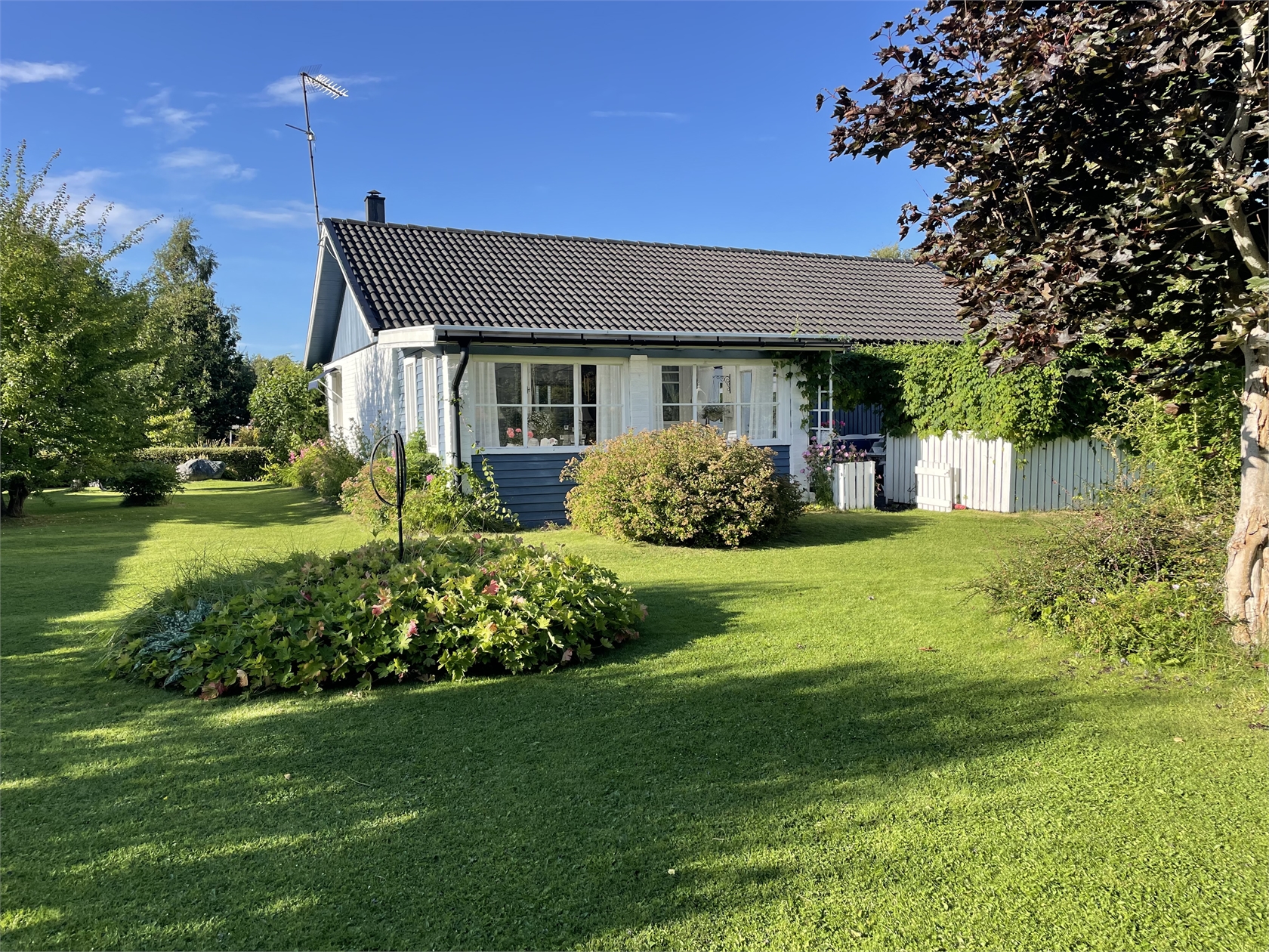 Rådjursstigen 1 – bild 15