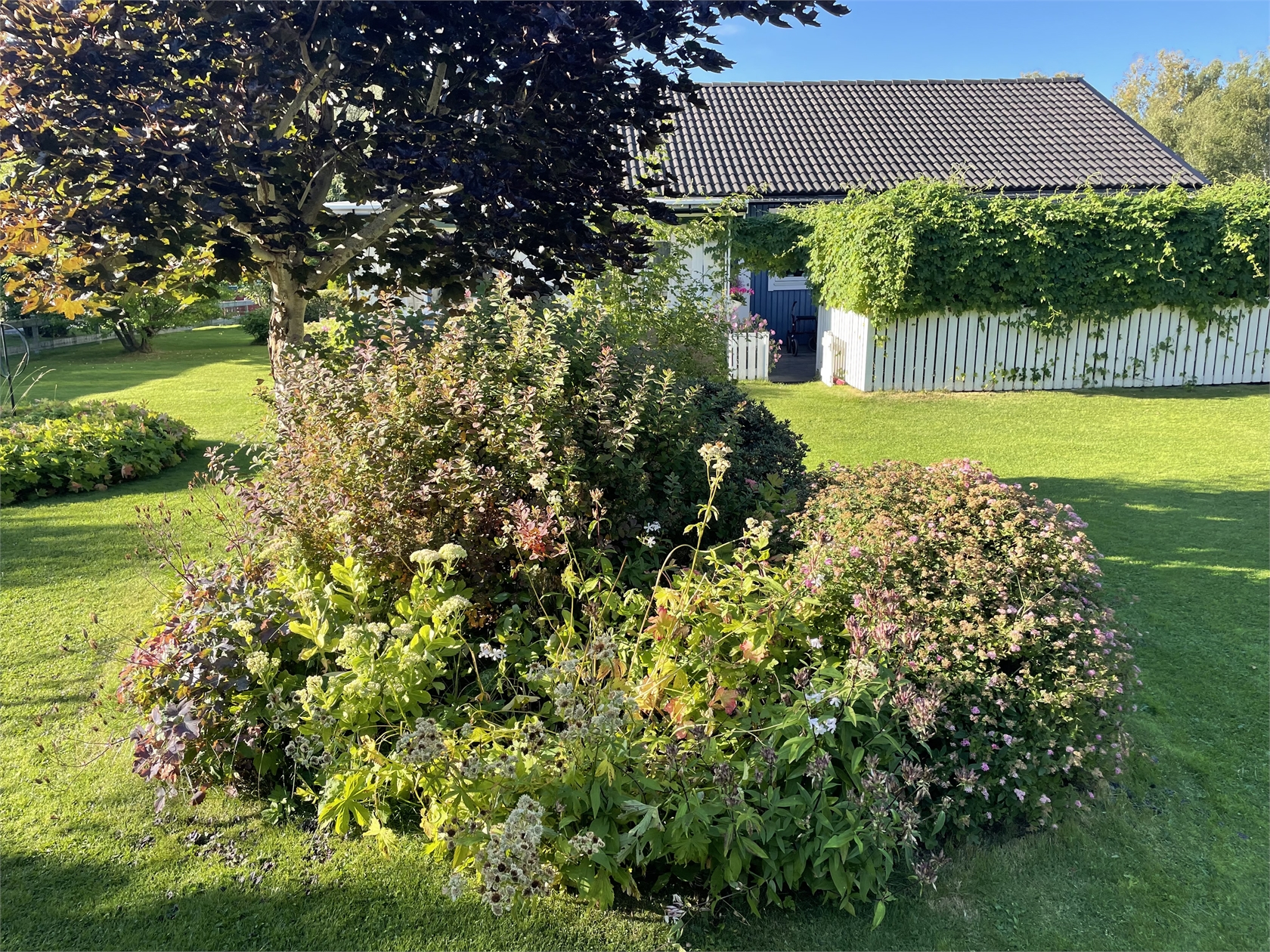 Rådjursstigen 1 – bild 16
