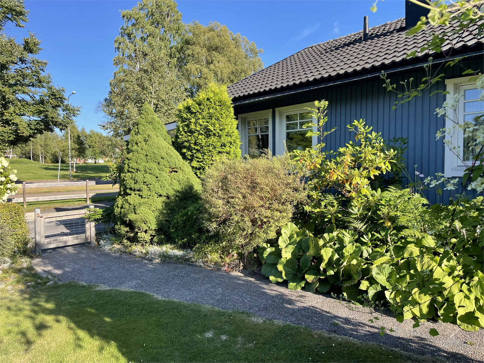 Rådjursstigen 1 – bild 10