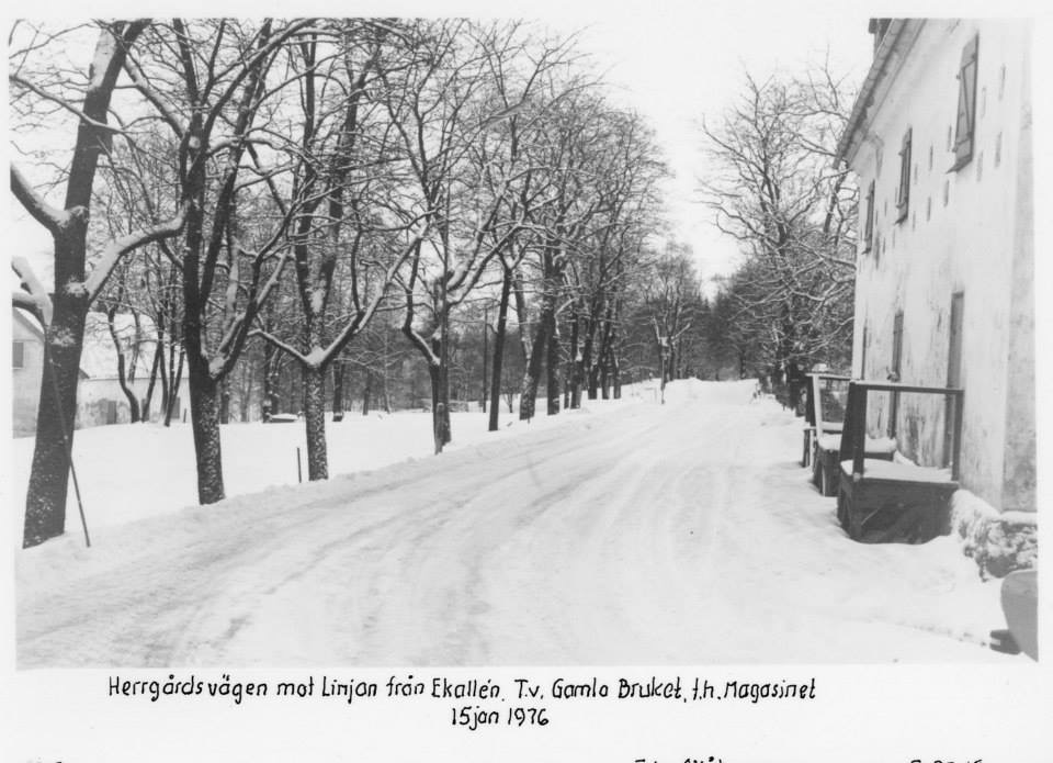 Vita Magasinet – bild 45