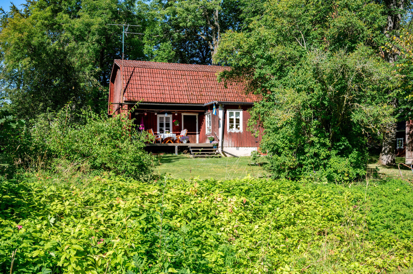 tors 1/10 – bild 28