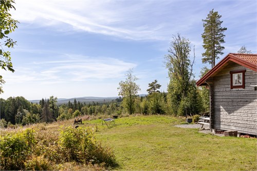 Ärtled 42
